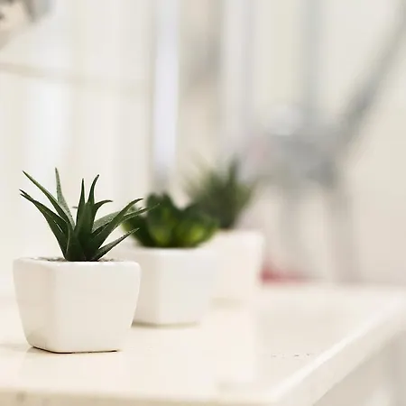 Apartment Old Town 2 Split